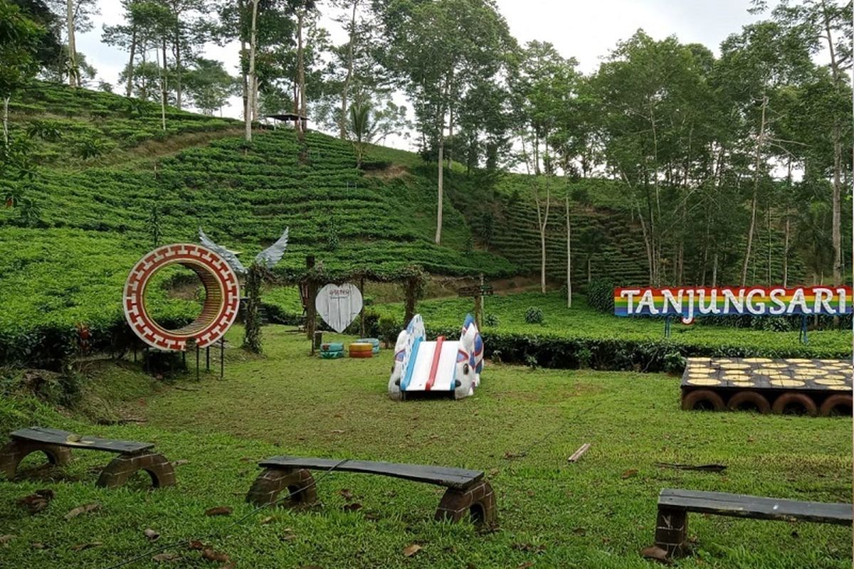 togoenlutte.org- Menghirup udara segar, menikmati suasana alam, dan merasakan keheningan di tengah perkebunan teh hijau yang luas, itulah pengalaman yang ditawarkan Tanjungsari Land Wonosobo