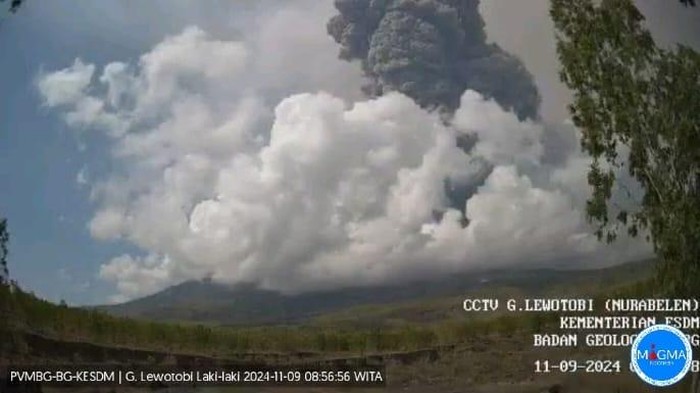 Flores Timur - Gunung Lewotobi Laki-laki di Flores di Flores Timur, Nusa Tenggara Timur (NTT) kembali meletus, Sabtu (9/11/2024), pukul 08.50 Wita. Gunung berstatus Level IV Awas ini meletus dengan tinggi kolom abu teramati 6 kilometer (km) dari puncak gunung.