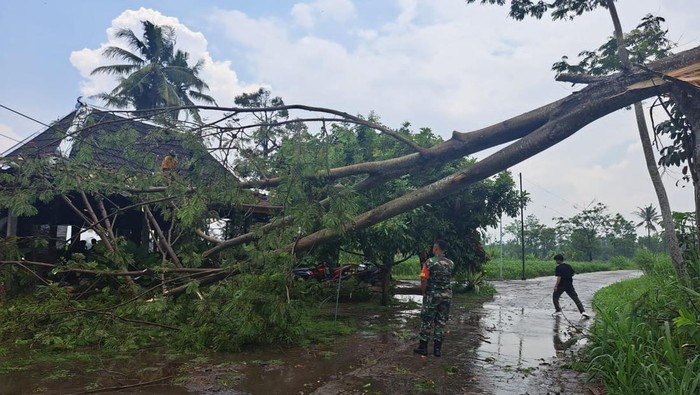 Hujan lebat disertai angin kencang terjadi di wilayah Sleman siang tadi. Dilaporkan sejumlah pohon dan tiang listrik roboh akibat angin kencang.