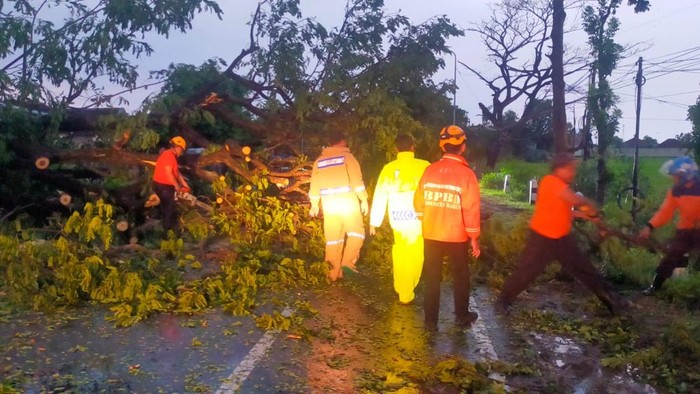 Hujan disertai angin kencang yang terjadi di Madiun pada Kamis (31/10) sore, juga merusak 31 rumah. Sebanyak 31 rumah tersebut berada di empat kecamatan di Madiun. Saat ini, pembersihan puing-puing bangunan akan dilakukan.