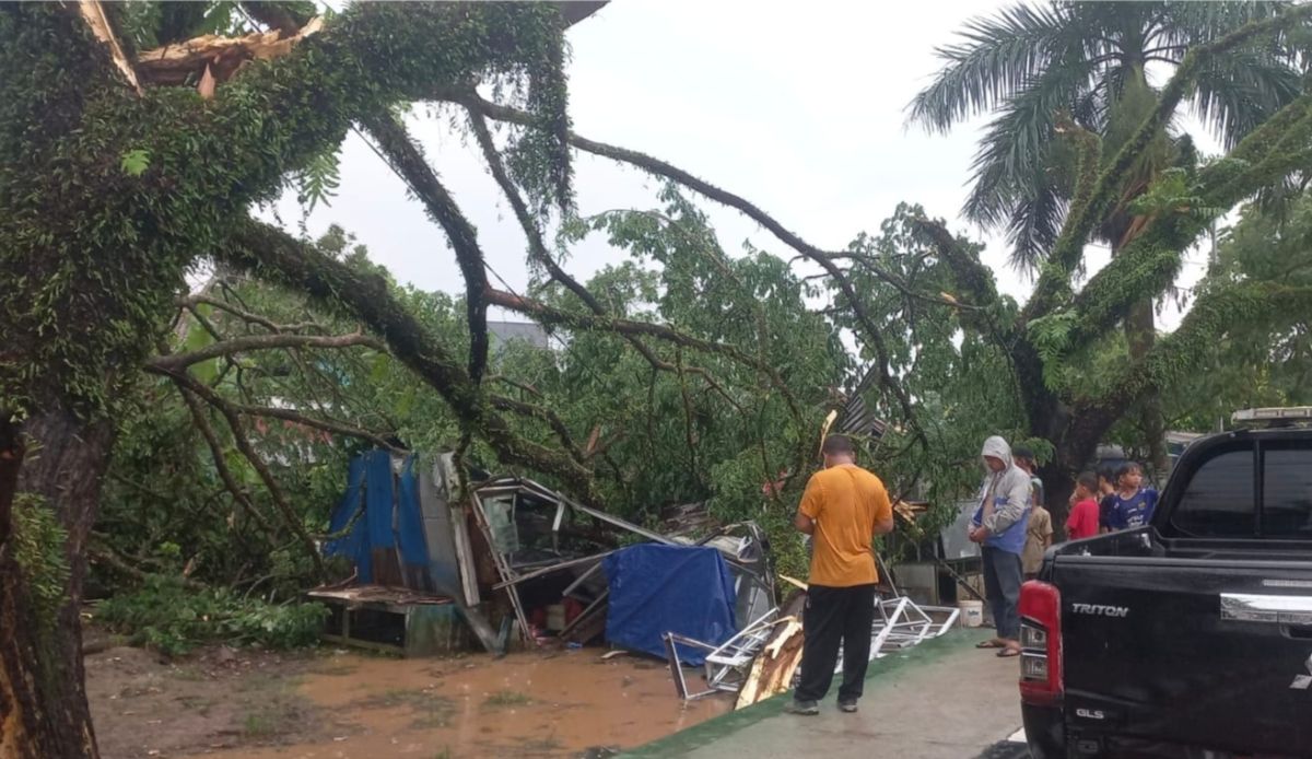 togoenlutte.org - Bencana hujan disertai angin kencang menerjang wilayah Kabupaten Lebak, Sabtu (9/11/2024). Tercatat puluhan rumah mengalami kerusakan hingga pohon tumbang menutupi akses jalan.