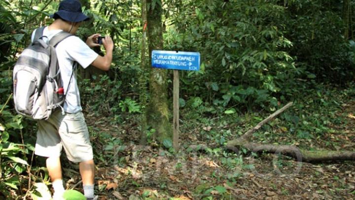 togoenlutte.org, Jakarta - PT Pertamina (Persero) mendukung pemanfaatan ekosistem hutan secara produktif dan berkelanjutan melalui program Hutan Lestari. Hingga penutup 2024, program ini telah memiliki 337 program penanaman pohon dengan akumulasi luas lahan terkelola hingga 891 hektar.