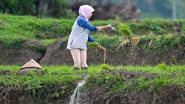 togoenlutte.org, Jakarta - Pemerintah berencana menyulap seluas 20 juta hektare (ha) hutan menjadi lahan untuk cadangan pangan, energi, dan air. Hal ini diungkapkan oleh Menteri Kehutanan (Menhut) Raja Juli Antoni usai rapat terbatas di kompleks Istana Kepresidenan Jakarta, Senin (30/12/2025).