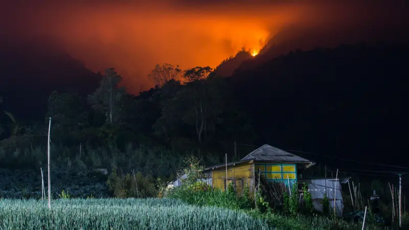 Kebakaran hutan dan lahan (karhutla) yang terjadi di Gunung Lawu kini meluas hingga ke kawasan Gunung Lawu yang terletak di Jawa Tengah dan menghanguskan vegetasi di kawasan gunung tersebut.