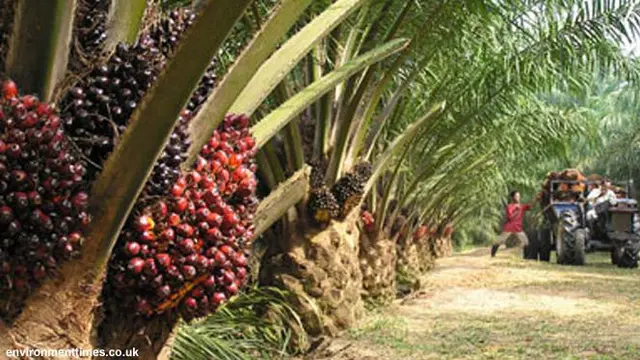 togoenlutte.org, Jakarta Penambahan lahan kelapa sawit yang digagas Presiden Prabowo Subianto di kawasan hutan bukan sebagai kegiatan deforestasi. Pasalnya, penambahan lahan tersebut dilakukan di kawasan hutan yang sudah tidak berhutan atau terdegradasi.