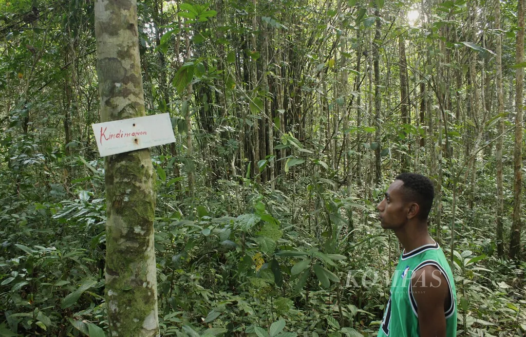 togoenlutte.org,~JAKARTA,   Keanekaragaman pohon di hutan terbukti memberikan berbagai manfaat bagi kehidupan. Hutan merupakan penyerap karbon alami. Riset terbaru di Universitas Freiburg, Jerman, menyebutkan hutan heterogen bisa menyerap lebih banyak karbon ketimbang hutan yang hanya memiliki satu spesies pohon.