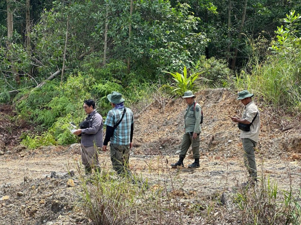 togoenlutte.org, Inhu: Satreskrim Polres Indragiri Hulu menetapkan lima tersangka dalam kasus perambahan hutan 150 hektare di kawasan Hutan Produksi Terbatas (HPT). Ironisnya, kelima tersangka merupakan Kepala Desa hingga perangkat desa lainnya.