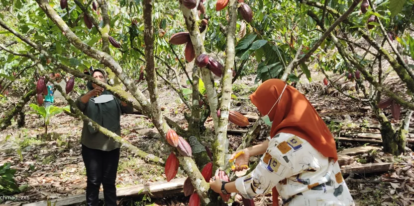 Wilayah khatulistiwa yang subur di Indonesia dan Filipina tidak hanya indah, tetapi juga menjadi kawasan penting bagi para petani pedesaan dalam menghadapi ancaman perubahan iklim dan ketidakstabilan ekonomi global.