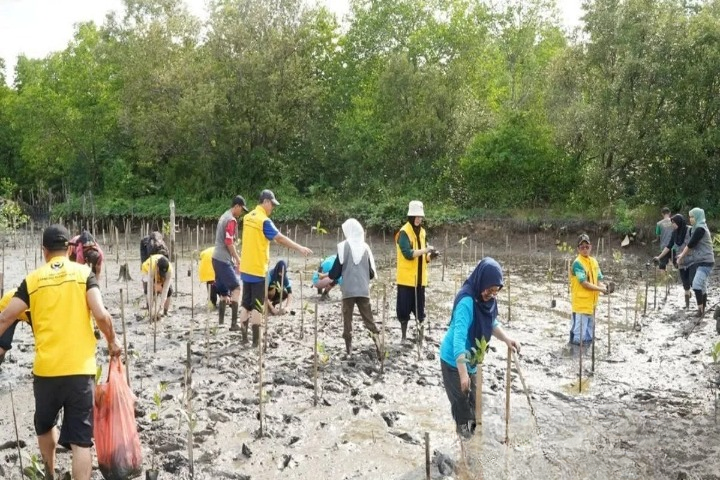 Banjarmasin  - Universitas Lambung Mangkurat (ULM) berupaya mengembangkan koperasi yang lebih dinamis dengan tujuan utama mengelola hutan mangrove di Kabupaten Kotabaru, Kalimantan Selatan.