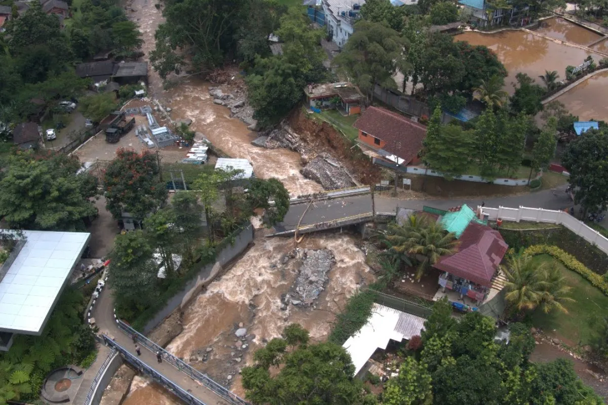 Depok - Juru Kampanye Forest Watch Indonesia (FWI) Anggi Putra Prayoga menjelaskan kota-kota besar seperti Jakarta, Bogor, Depok, Tangerang, dan Bekasi (Jabodetabek) butuh ekosistem hutan sebagai penyangga kehidupan masyarakat.