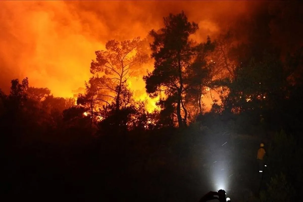 Karachi, Pakistan - Para petugas damkar berjuang memadamkan kebakaran hutan yang kian meluas di wilayah timur laut Jepang. NHK pada Minggu melaporkan bahwa kawasan hutan yang terbakar telah mencapai 1.800 hektar setelah api muncul di kota Ofunato, prefektur Iwate, meski pemadaman lewat udara dan darat telah berlangsung selama berhari-hari.