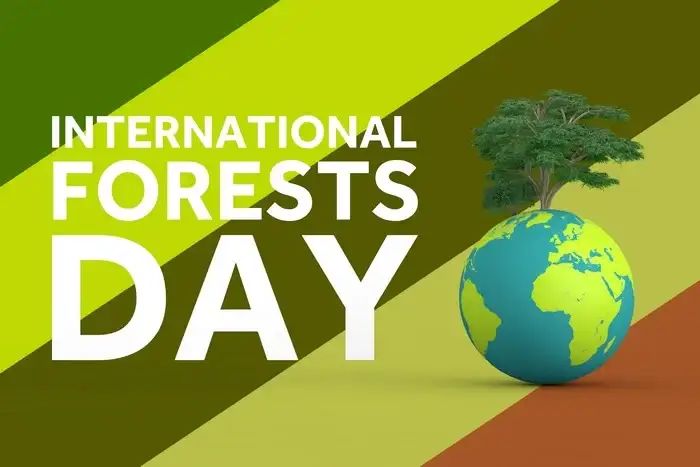 togoenlutte.org, Denpasar : Hutan sangat penting keberadaannya sebagai penghasil oksigen terbesar di dunia. Jika hutan rusak, maka akan berdampak buruk kepada ekosistem lainnya.  International Day of Forests atau Hari Hutan Sedunia diperingati setiap tanggal 21 Maret di setiap tahunnya. Peringatan ini juga ditetapkan oleh PBB dalam resolusi PBB 67/200 pada tanggal 21 Desember 2012.