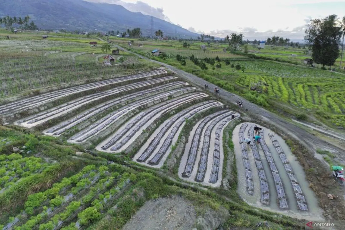 Jakarta - Perdebatan publik tentang tindakan mana yang lebih prioritas, antara cetak sawah baru dan optimasi sawah eksisting terus terjadi berulangkali, yang cenderung direproduksi tanpa henti.