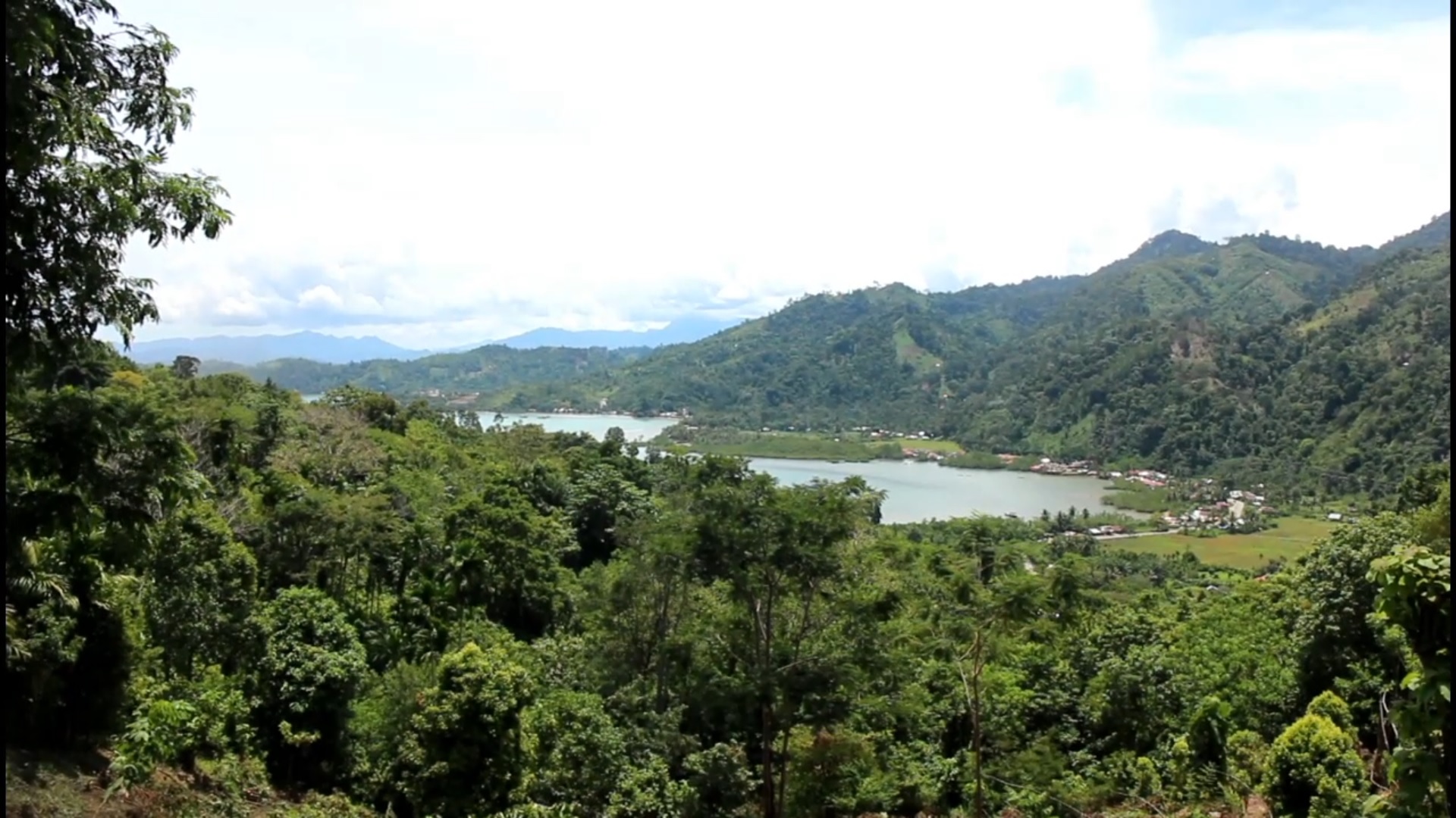 Hutan merupakan salah satu sumber daya alam yang sangat penting bagi keberlangsungan hidup manusia dan ekosistem di bumi. Selain berperan sebagai paru-paru dunia yang menyerap karbon dioksida dan menghasilkan oksigen,