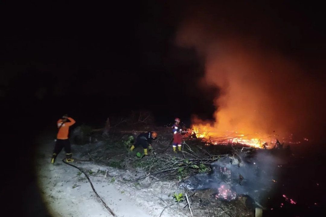 Kalimantan Timur, salah satu provinsi di Indonesia yang dikenal dengan keindahan alam dan kekayaan sumber daya alamnya, baru saja mengalami kejadian yang cukup serius berupa kebakaran hutan dan lahan.