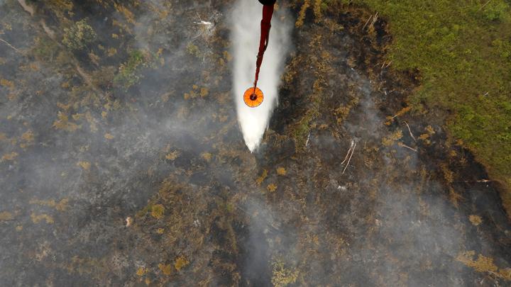 togoenlutte.org, Jakarta - Musim kemarau yang ekstrem bisa memicu terjadinya kebakaran hutan. Kebakaran rentan terjadi terutama di daerah dengan vegetasi yang lebat. Beberapa daerah di Indonesia memiliki potensi yang lebih besar terkena kebakaran hutan, seperti Sumatera dan Kalimantan. Berikut beberapa kebakaran terparah yang pernah terjadi di Indonesia.
