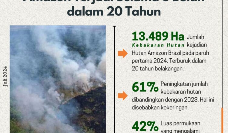 Hutan Amazon Brazil mencatat 13.489 kebakaran hutan terjadi pada paruh pertama tahun ini, angka terburuk dalam 20 tahun, data satelit terungkap Senin (1/7).