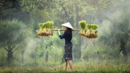 Penerapan Undang-Undang Perlindungan Hutan di Indonesia menjadi salah satu isu yang mencuat dalam beberapa tahun terakhir. Meskipun bertujuan untuk menjaga keberlanjutan ekosistem dan mencegah kerusakan lingkungan, penerapan UU tersebut sering kali menimbulkan kekhawatiran dan dampak negatif terhadap kehidupan petani, khususnya petani kecil dan masyarakat adat yang tinggal dan bergantung pada hutan.