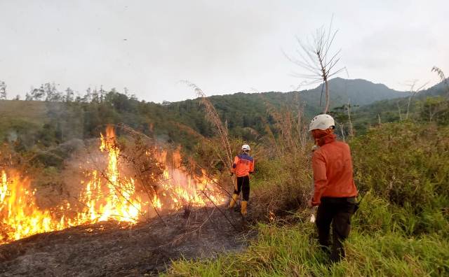 Kebakaran menjadi salah satu bencana alam maupun insiden yang kerap mengancam keselamatan masyarakat dan menimbulkan kerugian besar. Dalam beberapa pekan terakhir, angka kejadian kebakaran di berbagai daerah menunjukkan tren peningkatan yang cukup signifikan.