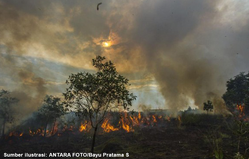 Pada bulan-bulan terakhir ini, Indonesia kembali menghadapi tantangan serius terkait kebakaran hutan dan lahan yang melanda berbagai wilayah di seluruh nusantara. Dalam kurun waktu sepuluh hari saja, puluhan hektar hutan dan lahan terbakar, menyebabkan kerusakan lingkungan yang signifikan dan mengancam ekosistem serta kehidupan masyarakat setempat.