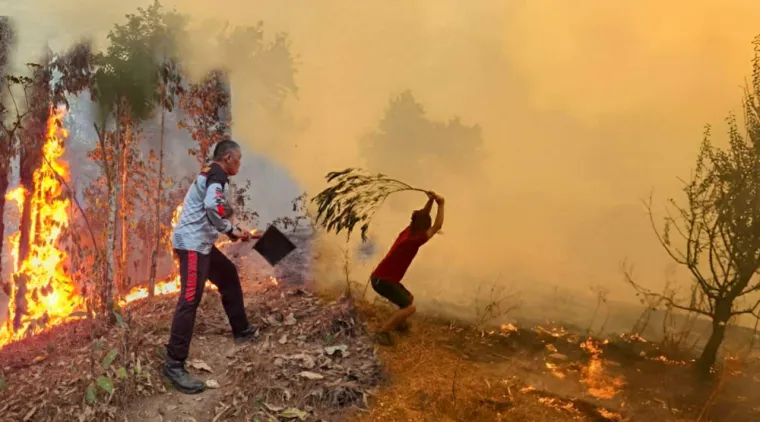 Satgas Karhutla, BPBD, dan Damkar Solok Berjibaku Padamkan Kebakaran Hutan di Nagari Sungai Jambua