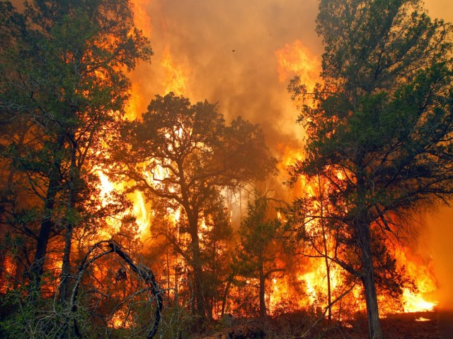 Pemerintah Daerah Kabupaten Merauke melaporkan adanya tren penurunan jumlah titik api kebakaran lahan dan hutan di wilayahnya dalam beberapa minggu terakhir. Hal ini menjadi kabar baik di tengah tantangan yang selama ini dihadapi dalam mengendalikan kebakaran yang kerap terjadi di daerah tersebut selama musim kemarau.