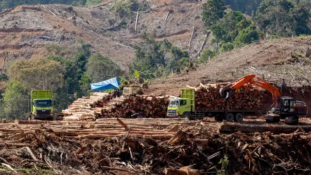 Transisi energi merupakan langkah global untuk beralih dari penggunaan bahan bakar fosil yang berkontribusi terhadap perubahan iklim menuju sumber energi yang lebih bersih dan berkelanjatan seperti tenaga surya, angin, dan energi terbarukan lainnya.