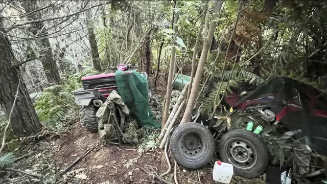 Bertahun-tahun Sembunyi di Hutan, Buronan Selandia Baru Tertangkap Lalu Ditembak Mati Polisi