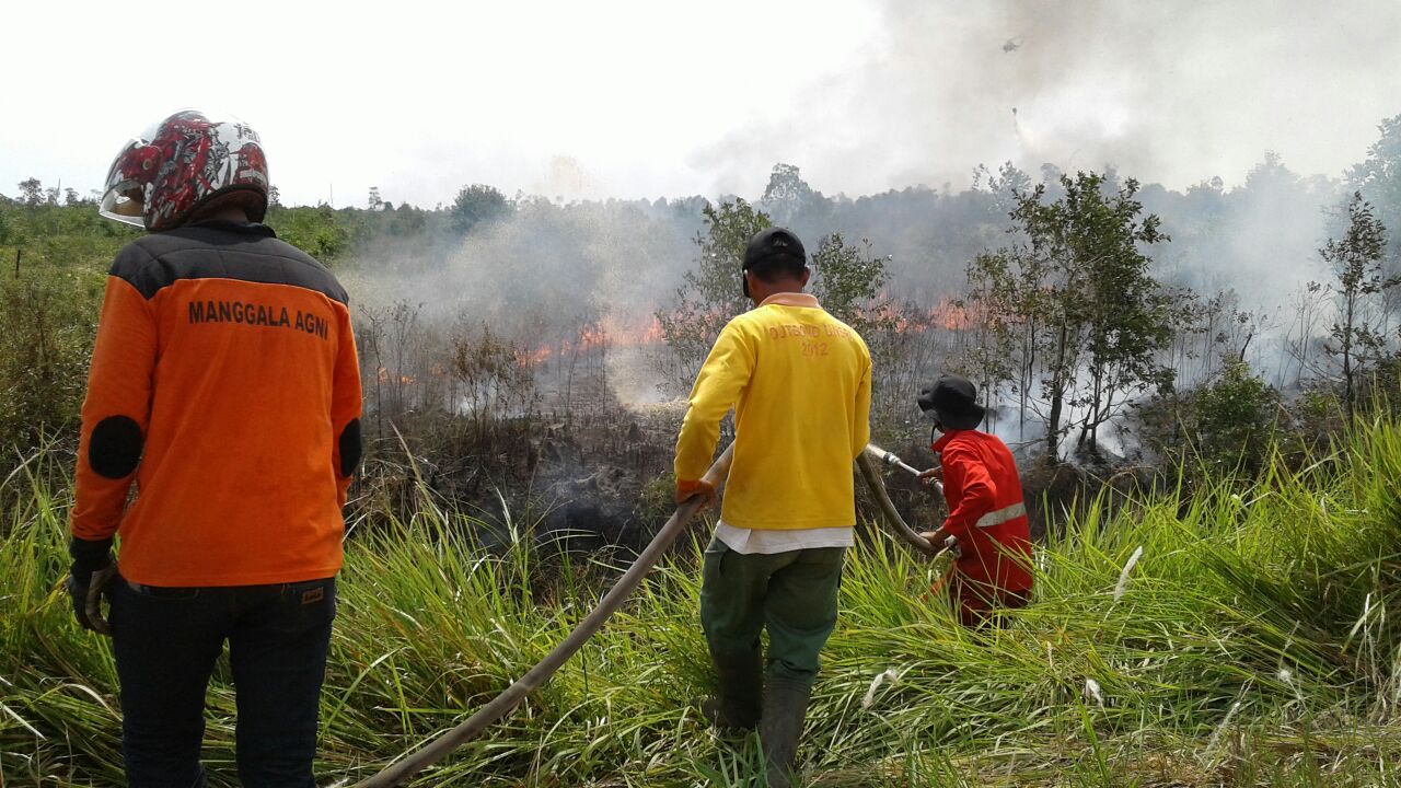 Antisipasi Kebakaran Hutan dan Lahan, 2.100 Personel Manggala Agni Siaga di Wilayah Rawan