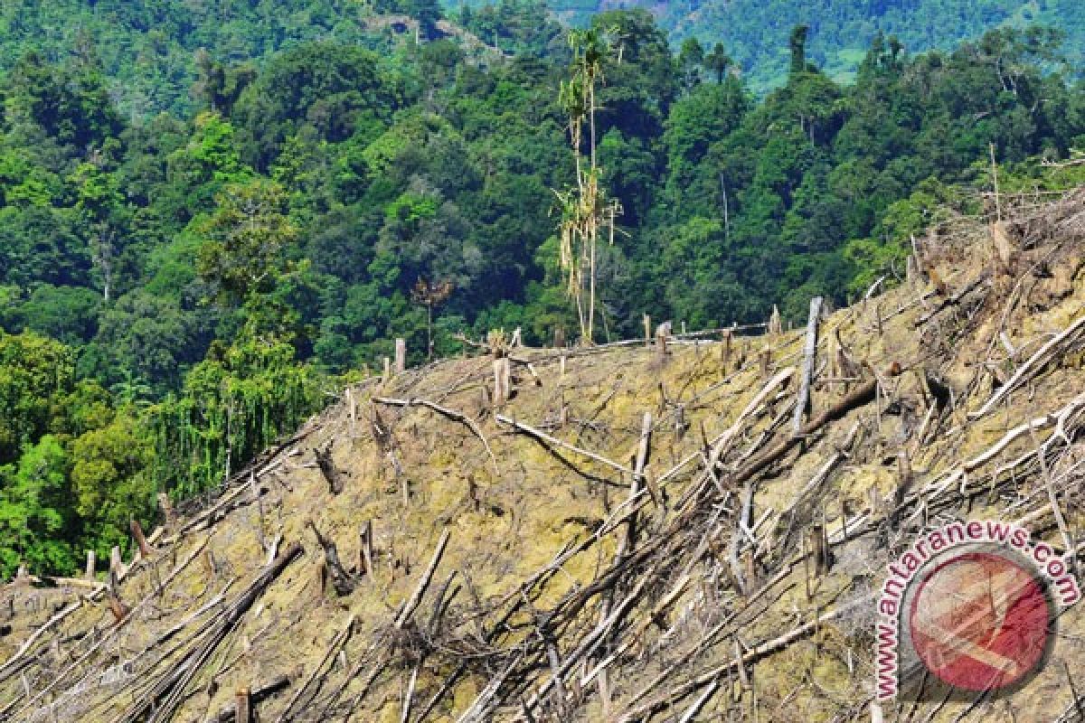 Indonesia dikenal sebagai negara dengan keanekaragaman hayati terbesar di dunia, sekaligus sebagai salah satu negara dengan jumlah penduduk yang besar. Menariknya, data menunjukkan bahwa sekitar 48,8 juta penduduk Indonesia tinggal dan bermukim di kawasan hutan.