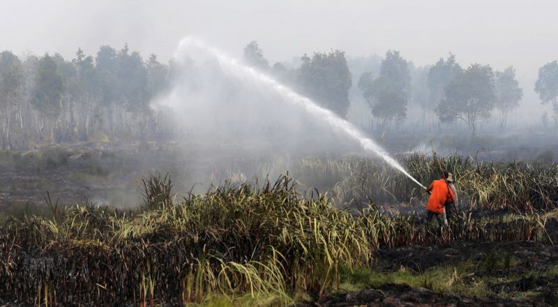 Kementerian Lingkungan Hidup dan Kehutanan (KLHK) menegaskan bahwa pembakaran hutan yang terjadi di Riau bersifat masif dan disengaja. Penegasan ini muncul setelah dilakukan investigasi dan pengumpulan bukti di lapangan yang menunjukkan pola dan motif tertentu di balik kebakaran tersebut.
