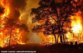 Berita tentang meningkatnya jumlah lahan dan hutan yang terbakar menjadi perhatian serius di berbagai wilayah, termasuk Indonesia. Kebakaran hutan dan lahan (karhutla) ini tidak hanya menyebabkan kerugian ekologis yang besar, tetapi juga berkontribusi terhadap berbagai masalah lingkungan dan kesehatan masyarakat.