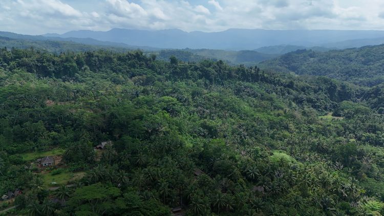 Kunjungan perdana Menteri ke Hutan Adat Kampung Kuta menjadi momen bersejarah yang membanggakan bagi masyarakat adat setempat. Hutan adat ini dikenal sebagai kawasan yang sakral, menjaga kelestarian lingkungan, dan berperan penting dalam menyejahterakan warga melalui berbagai tradisi dan kearifan lokal.
