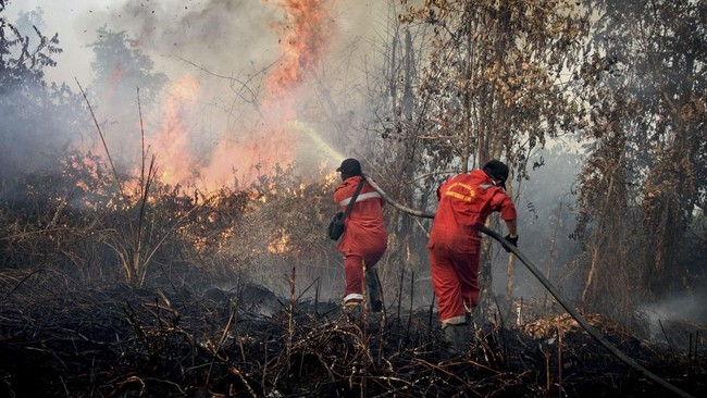 Kebakaran hutan dan lahan di Riau selama beberapa tahun terakhir menjadi persoalan serius yang tidak hanya berdampak pada lingkungan dan ekosistem, tetapi juga mengancam kehidupan masyarakat setempat